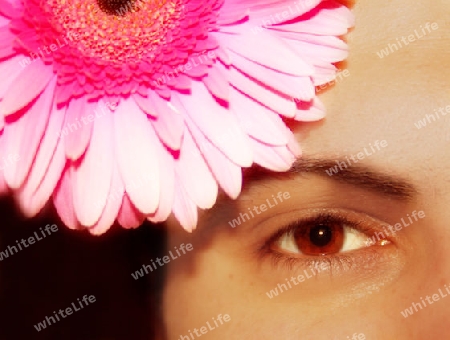 Blume und Auge