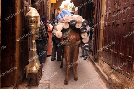 a smal Marketroad in the Medina of old City in the historical Town of Fes in Morocco in north Africa.