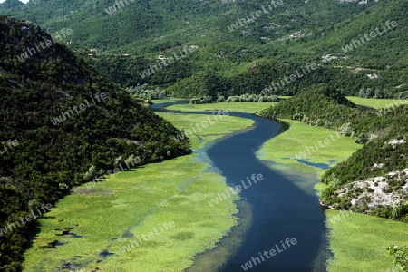 Europa, Osteuropa, Balkan. Montenegro, Skadar, See, Landschaft, Rijeka Crnojevica, Natur, 