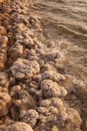 The coast with natural salt of the death sea neat the Village of Mazraa in Jordan in the middle east.