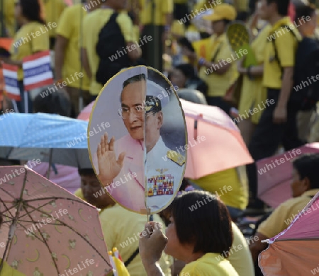 Tausende von Thailaender zelebrieren den Kroenungstag des Koenig Bhumibol auf dem Sanam Luang Park vor dem Wat Phra Kaew in der Stadt Bangkok in Thailand in Suedostasien.  