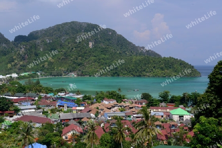 The view from the Viewpoint on the Town of Ko PhiPhi on Ko Phi Phi Island outside of the City of Krabi on the Andaman Sea in the south of Thailand. 