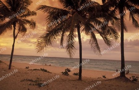 a beach on the coast of Varadero on Cuba in the caribbean sea.