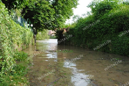 Hochwasser Rhein-Neckar