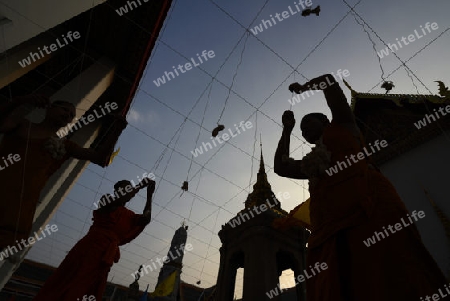 Moenche bei den Vorbereitungen auf die Neujahrsnacht Feier in der Tempelanlage des Wat Pho in der Hauptstadt Bangkok von Thailand in Suedostasien.