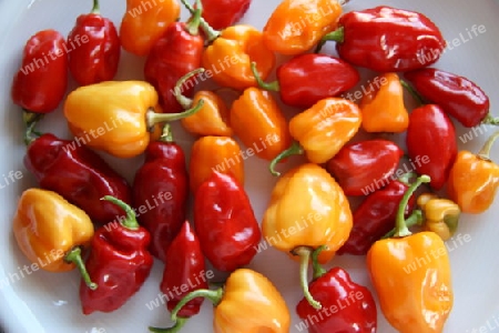 Chili Peppers