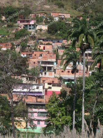 Favela