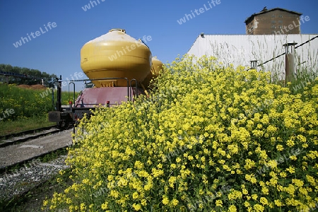 Alberner Hafen