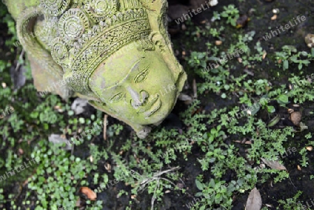 Traditionelle Figuren stehen im Garten von Ban Phor Linag Meuns Terracota Art zum Verkauf bereit dies im Terracota Garden in Chiang Mai im norden von Thailand in Suedostasien.