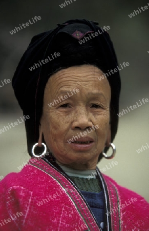 a farmer women in the rice fields of the village of Longsheng in the province Guangxi in south of China.