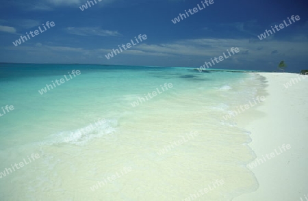 
Der Traumstrand mit Palmen und weissem Sand an der Insel Velavaru im Southmale Atoll auf den Inseln der Malediven im Indischen Ozean.   