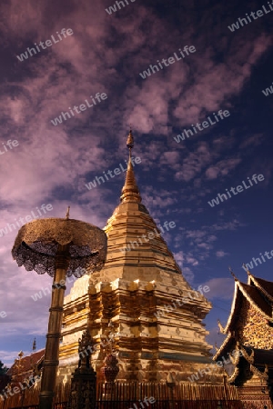 Der Chedi der Tempel Anlage des Wat Phra That Doi Suthep bei Chiang Mai in der Provinz Chiang Mai im Norden von Thailand in Suedostasien.