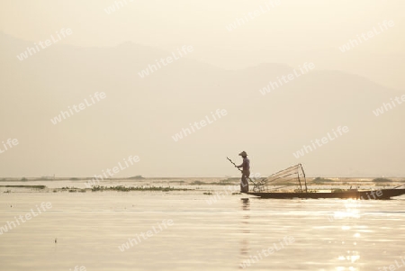 Fishermen at sunrise in the Landscape on the Inle Lake in the Shan State in the east of Myanmar in Southeastasia.