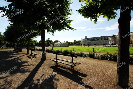 Schlosspark Karlsruhe im Gegenlicht