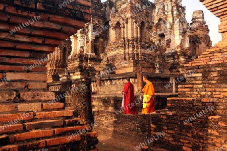 Der Wat Mahathat Tempel in der Tempelanlage von Alt-Sukhothai in der Provinz Sukhothai im Norden von Thailand in Suedostasien.