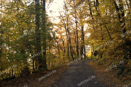 Herbst spaziergang