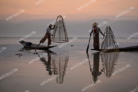 Fishermen at sunrise in the Landscape on the Inle Lake in the Shan State in the east of Myanmar in Southeastasia.