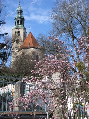 Augustinerkirche in Salzburg