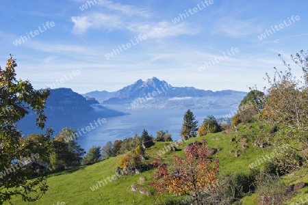 Vierwaldst?ttersee