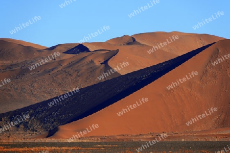 riesige Sandd?nen im ersten Morgenlicht,  Namib Naukluft Nationalpark, Sossusvlei, Namibia, Afrika