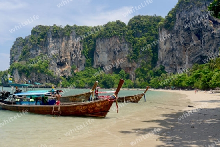 The Hat Tom Sai Beach at Railay near Ao Nang outside of the City of Krabi on the Andaman Sea in the south of Thailand. 