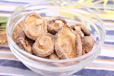 Shiitake Pilze