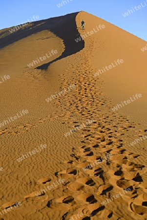 Touristen besteigen D?ne 45 im letzten Abendlicht,  Namib Naukluft Nationalpark, Sossusvlei, Namibia, Afrika