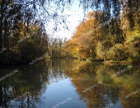 Herbst in Englischer Garten