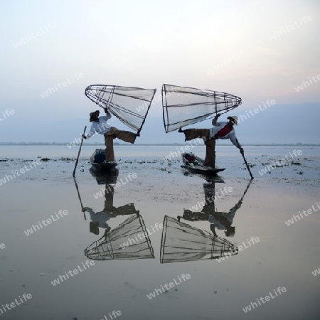 Fishermen at sunrise in the Landscape on the Inle Lake in the Shan State in the east of Myanmar in Southeastasia.