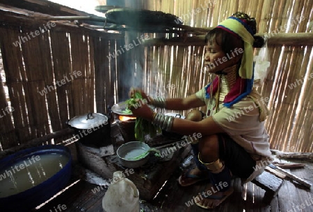 Eine Traditionell gekleidete Langhals Frau eines Paudang Stammes aus Burma lebt in einem Dorf noerdlich von Chiang Mai in Nord Thailand.