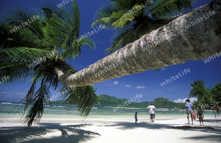 Ein Traumstrand auf der Insel Praslin der Inselgruppe Seychellen im Indischen Ozean in Afrika.