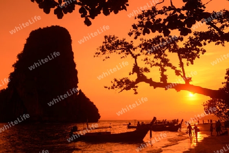 The Hat Phra Nang Beach at Railay near Ao Nang outside of the City of Krabi on the Andaman Sea in the south of Thailand. 