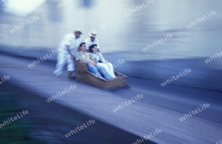 Europa, Atlantischer Ozean, Portugal, Insel, Madeira, Hauptstadt, Funchal, Korbschlitten, Taxi, Fahren, Schlitten, Transport, Touristen,  
Ein traditioneller Korbschlitten auf der Fahrt von Monte nach Funchal in der Hauptstadt Funchal auf der Insel M