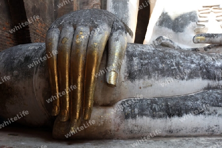 Die Buddha Figur  im Wat Si Chum Tempel in der Tempelanlage von Alt-Sukhothai in der Provinz Sukhothai im Norden von Thailand in Suedostasien.