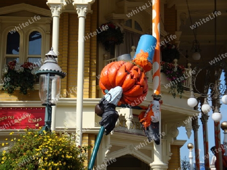 Halloween Pumpkin K?rbis @ Disneyland Paris