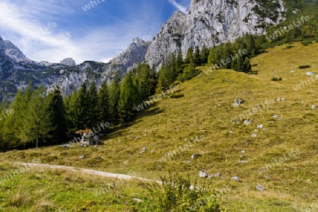 Landschaft an der Halsalm, Nationalpark Berchtesgaden, Germany