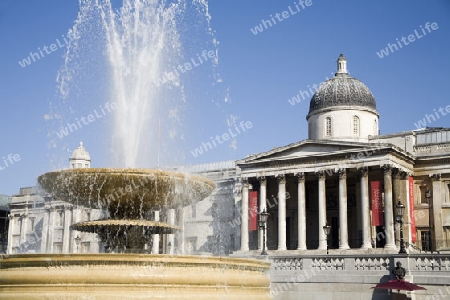 London - Trafalgar square