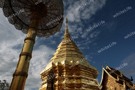 Der Chedi der Tempel Anlage des Wat Phra That Doi Suthep bei Chiang Mai in der Provinz Chiang Mai im Norden von Thailand in Suedostasien.