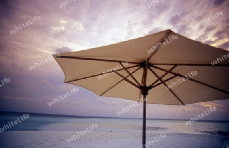 
Der Strand im Abendlicht auf der Insel Helengeli im Northmale  Atoll auf den Inseln der Malediven im Indischen Ozean.   