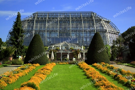 gew?chshaus im botanischen garten berlin