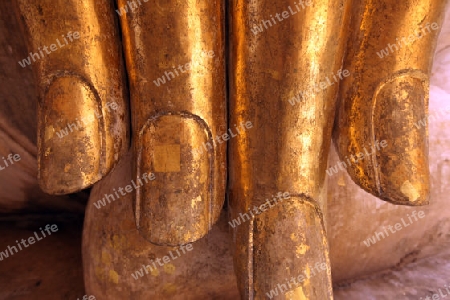 Die Buddha Figur  im Wat Si Chum Tempel in der Tempelanlage von Alt-Sukhothai in der Provinz Sukhothai im Norden von Thailand in Suedostasien.