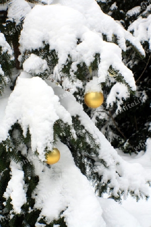 Tanne mit Schnee und Christbaumkugeln