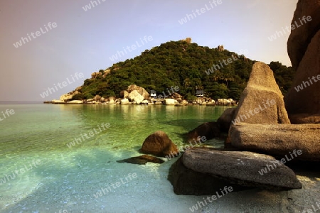 Die Strand und Insellandschaft auf der Insel Koh Naang Yuan neben der Insel Ko Tao im Golf von Thailand im Suedwesten von Thailand in Suedostasien.  