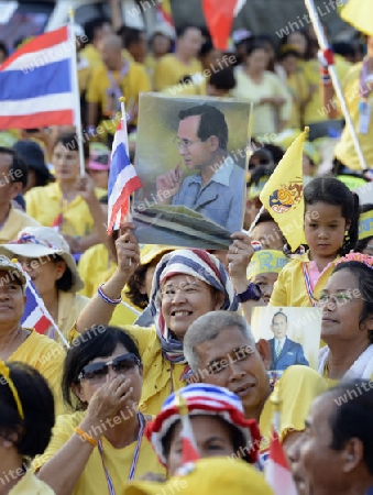 Tausende von Thailaender zelebrieren den Kroenungstag des Koenig Bhumibol auf dem Sanam Luang Park vor dem Wat Phra Kaew in der Stadt Bangkok in Thailand in Suedostasien.  