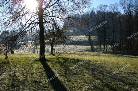 Winter Schattenspiel