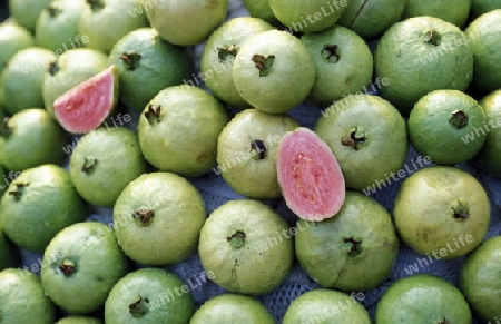 Guava Fruechte auf einem Markt  im Mekong Delta bei der Stadt Can Tho im sueden von Vietnam in Suedost Asien.