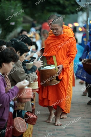 Moenche am fruehen Morgen beim einsammeln von Reis in der Altstadt von Luang Prabang in Zentrallaos von Laos in Suedostasien.