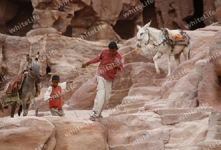 the landscape and streets in the Temple city of Petra in Jordan in the middle east.