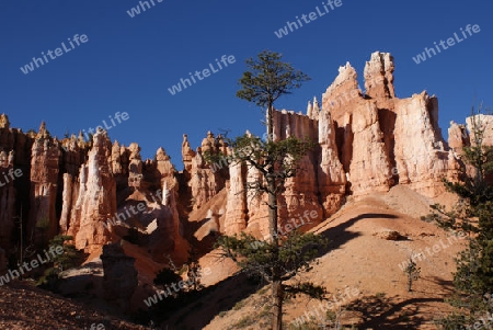 Bryce Canyon USA