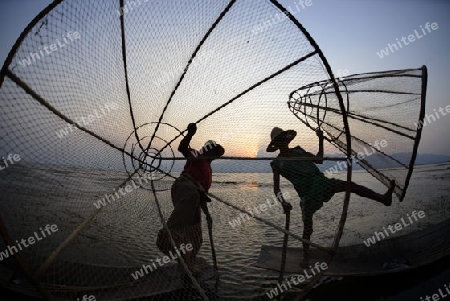 Fishermen at sunrise in the Landscape on the Inle Lake in the Shan State in the east of Myanmar in Southeastasia.